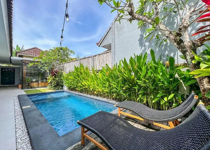 Island Boy E Prime Location In